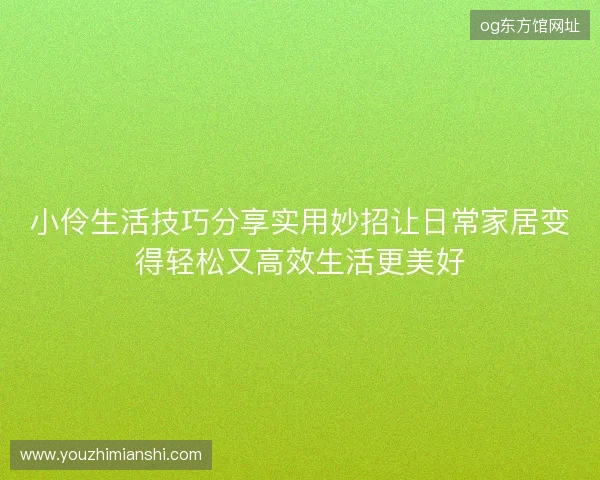 小伶生活技巧分享实用妙招让日常家居变得轻松又高效生活更美好